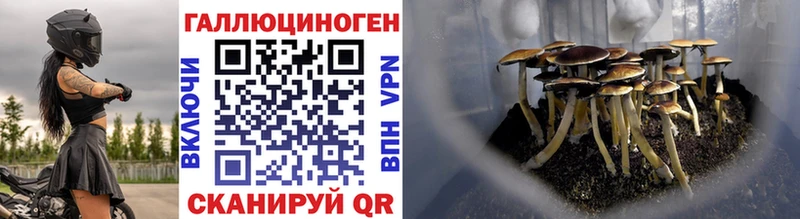 Купить где  Мелеуз  Псилоцибиновые грибы Magic Shrooms 
